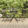 Image de vidaXL Chaises de bistrot pliantes lot de 2 Résine tressée et acier