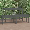 Image de vidaXL Banc de jardin à 2 places gris 159,5x44x45cm bois massif de pin