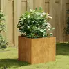 Image de vidaXL Jardinière 40x41x40 cm acier corten