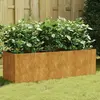 Image de vidaXL Lit surélevé de jardin 120x40x40 cm acier corten