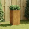 Image de vidaXL Jardinière 40x40x80 cm acier corten