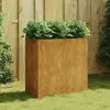 Image de vidaXL Jardinière 40x80x80 cm acier corten