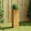 Image de vidaXL Jardinière 30x26x75 cm acier corten