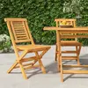 Image de vidaXL Chaises de jardin pliantes lot de 2 47x63x90cm bois massif teck