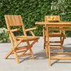 Image de vidaXL Chaises de jardin pliantes lot de 2 55x61x90cm bois massif teck