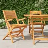 Image de vidaXL Chaises de jardin pliantes lot de 2 55x62x90cm bois massif teck