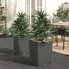Image de vidaXL Jardinières 2 pcs noir 30x30x37 cm polypropylène