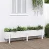 Image de vidaXL Lit surélevé de jardin blanc 160x30x38 cm bois de pin massif