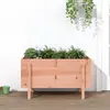 Image de vidaXL Lit surélevé de jardin 101x50x57 cm bois Douglas massif