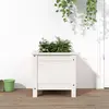 Image de vidaXL Jardinière blanc 40x40x39 cm bois massif de pin
