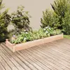Image de vidaXL Lit surélevé de jardin doublure 240x60x25 cm bois massif sapin