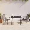 Image de vidaXL Ensemble à manger de jardin 3 pcs anthracite acier
