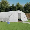 Image de vidaXL Serre avec cadre en acier blanc 60 m² 12x5x2,3 m