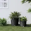 Image de vidaXL Jardinière et intérieur amovible anthracite 35 /37,5 L rotin PP