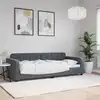 Image de vidaXL Lit de repos gris foncé 80x200 cm velours
