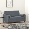 Image de vidaXL Canapé 2 places avec oreillers gris foncé 120 cm velours