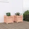 Image de vidaXL Jardinières 2 pcs bois massif douglas