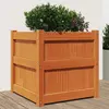 Image de vidaXL Jardinière cire marron 50x50x50 cm bois de pin massif