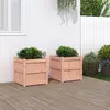 Image de vidaXL Jardinières 2 pcs bois massif douglas
