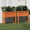 Image de vidaXL Jardinières 2 pcs avec pieds cire marron bois de pin massif