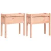 Image de vidaXL Jardinières 2 pcs avec pieds bois massif douglas