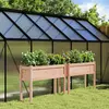 Image de vidaXL Jardinières 2 pcs avec pieds bois massif douglas