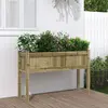 Image de vidaXL Jardinière avec pieds 110x31x70 cm bois de pin imprégné