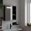 Image de vidaXL Armoire de salle de bain à miroir avec LED noir 45x13x52 cm