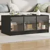 Image de vidaXL Table basse avec portes en verre noir 102x50x42 cm