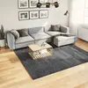 Image de vidaXL Tapis OVIEDO à poils courts anthracite 240x240 cm