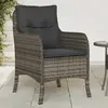 Image de vidaXL Chaises de jardin avec coussins lot de 2 gris résine tressée
