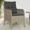 Image de vidaXL Chaises de jardin coussins lot de 2 gris clair résine tressée