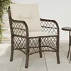 Image de vidaXL Chaises de jardin avec coussins lot de 2 marron résine tressée