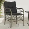 Image de vidaXL Chaises de jardin avec coussins lot de 2 gris résine tressée