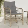 Image de vidaXL Chaises de jardin avec coussins lot de 2 mélange beige rotin
