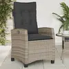 Image de vidaXL Chaise inclinable de jardin avec coussins gris résine tressée