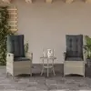 Image de vidaXL Chaises inclinables jardin lot de 2 et coussins résine tressée