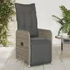 Image de vidaXL Chaises inclinables de jardin lot de 2 et coussins gris rotin