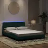 Image de vidaXL Cadre de lit avec LED sans matelas Hanko vert foncé 160x200 cm velours