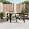 Image de vidaXL Ensemble à manger de jardin coussins 5pcs Noir Résine tressée