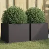 Image de vidaXL Jardinières 2 pcs noir 32x30x29 cm acier