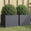 Image de vidaXL Jardinières 2 pcs anthracite 32x30x29 cm acier