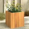 Image de vidaXL Jardinière 25x25x25 cm bois massif d'acacia