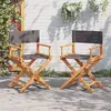 Image de vidaXL Chaises de réalisateur pliables lot de 2 gris foncé tissu