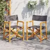Image de vidaXL Chaises de réalisateur pliables lot de 2 gris foncé tissu