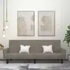 Image de vidaXL Canapé-lit à 2 places gris clair velours