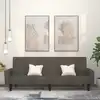 Image de vidaXL Canapé-lit à 2 places gris foncé velours
