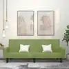 Image de vidaXL Canapé-lit à 2 places vert clair velours