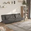 Image de vidaXL Canapé-lit à 2 places avec deux oreillers Gris foncé Velours