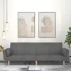 Image de vidaXL Canapé-lit à 2 places avec deux oreillers gris clair tissu